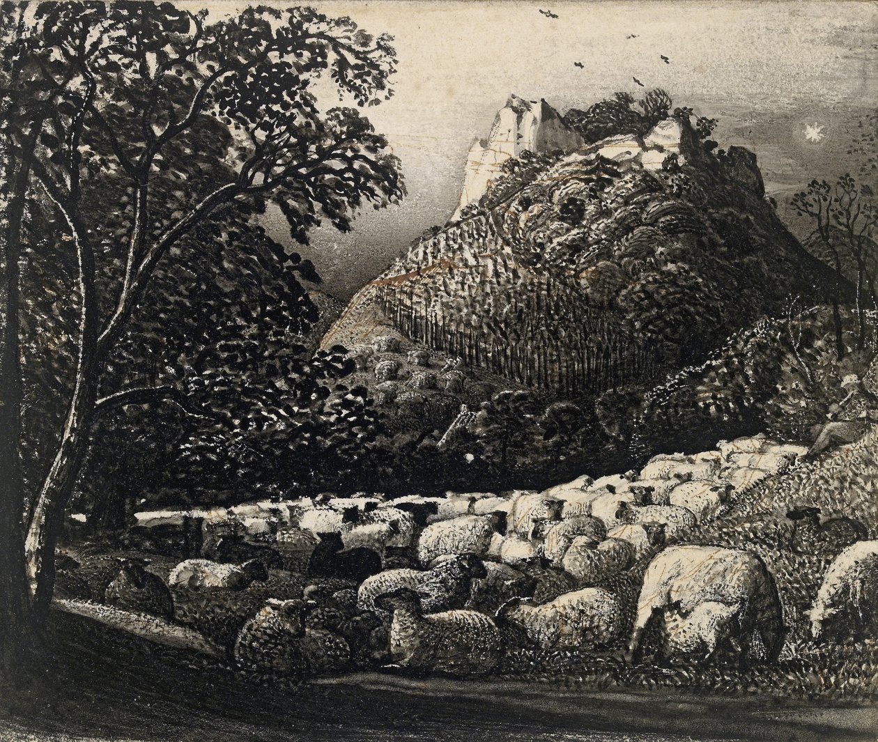 Flokken og Stjernen (pen og pensel i blæk over blyant og blæk) af Samuel Palmer