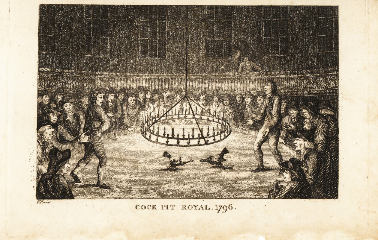 Gamblere ser en hanekamp i levende lys ved Cock Pit Royal, St af Samuel (after) Howitt