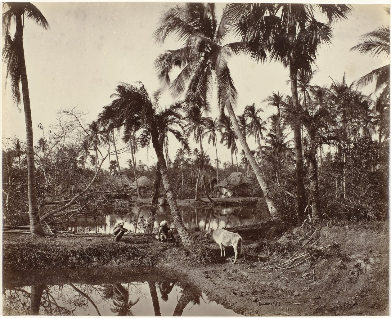 Udsigt over landsbyen i Bengalen, Indien Rustik scene og landsbyliv i Bengalen (original titel) af Samuel Bourne (signed by artist)