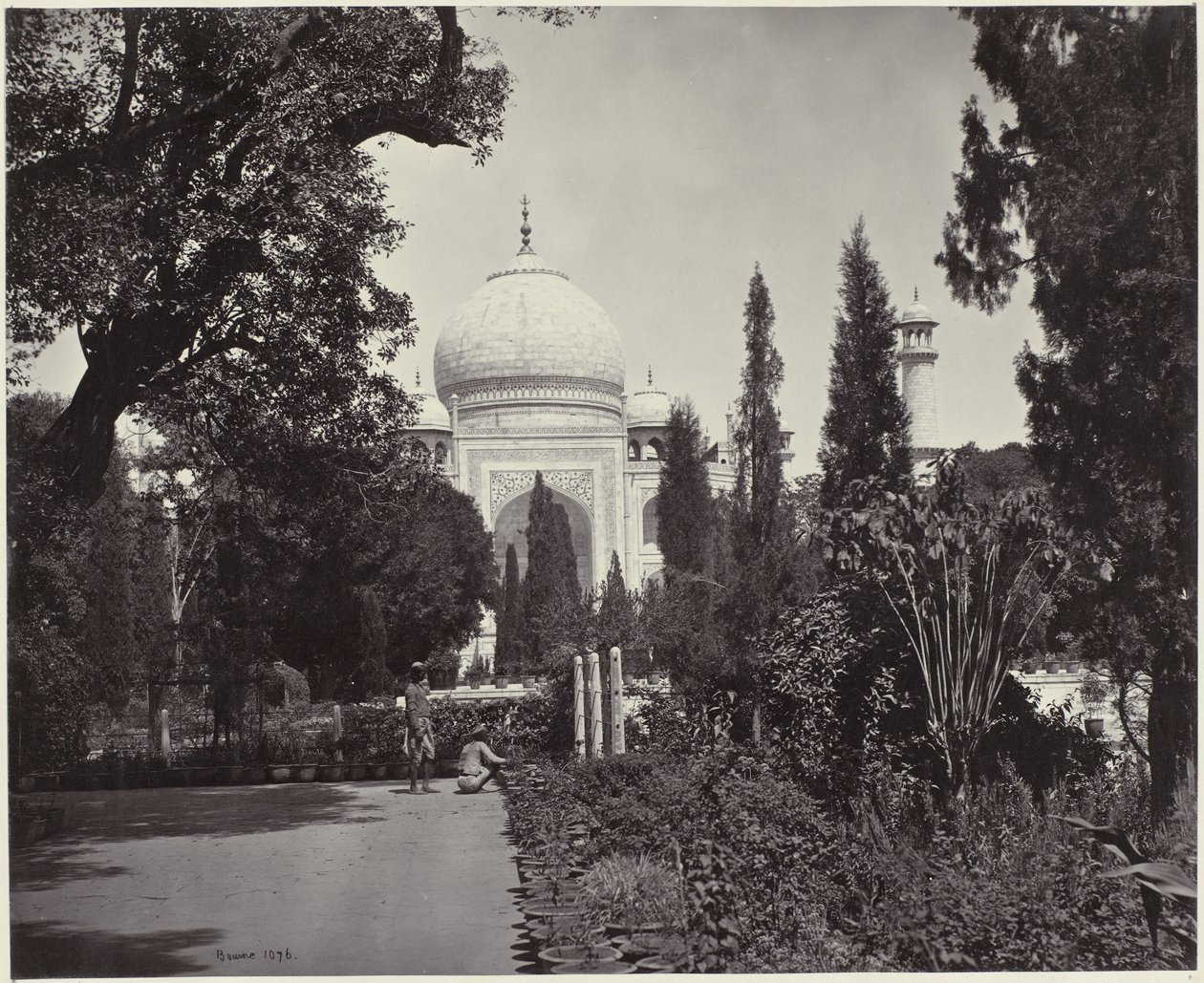 Udsigt over Taj Mahal og dens have The Taj, from the Garden (original titel) The Taj (titel på objekt) af Samuel Bourne (signed by artist)