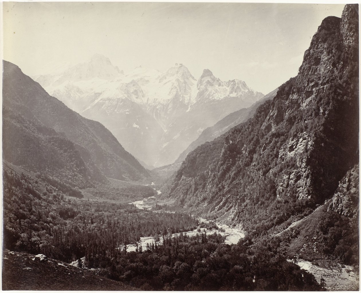 Udsigt over en dal og toppene i Srikanta, Indien Skovklædte dal fra Fulaldaru, med Srikanta-toppe i det fjerne (original titel) af Samuel Bourne (signed by artist)
