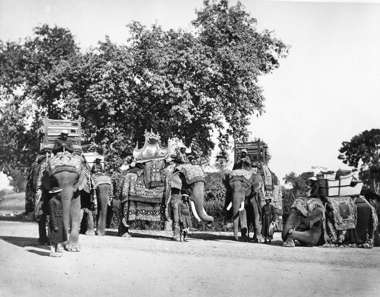 En gruppe af H E Vicekongens elefanter og deres statsfangst, ca. 1860