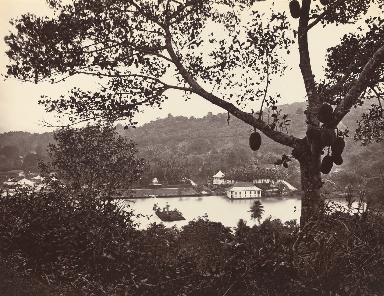 Et kig fra Upper Lake Road, der viser tempel og ø med park - frugttræ i forgrunden, c1865. af Samuel Bourne