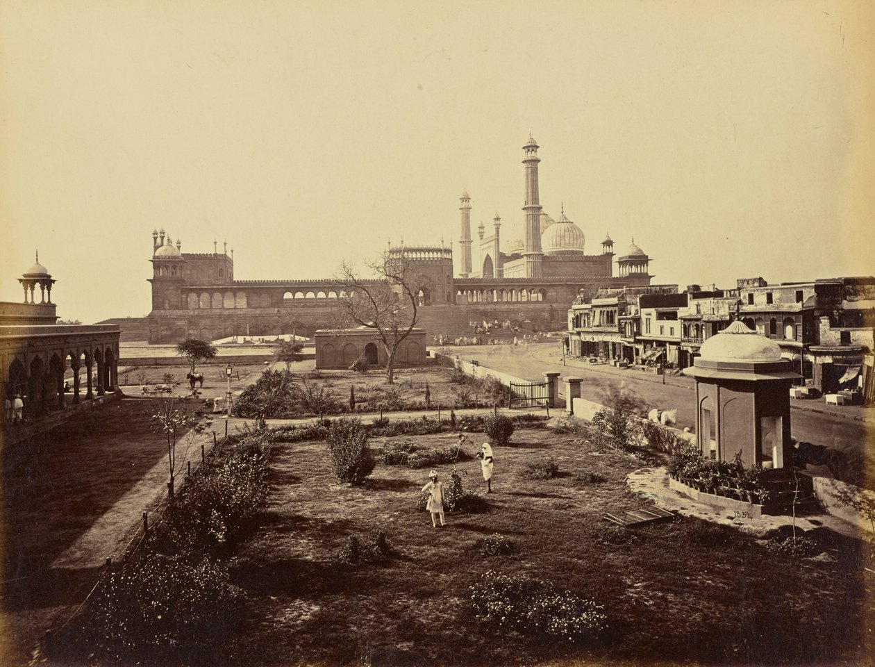 Delhi; Jumma Musjid, set fra nord af Samuel Bourne