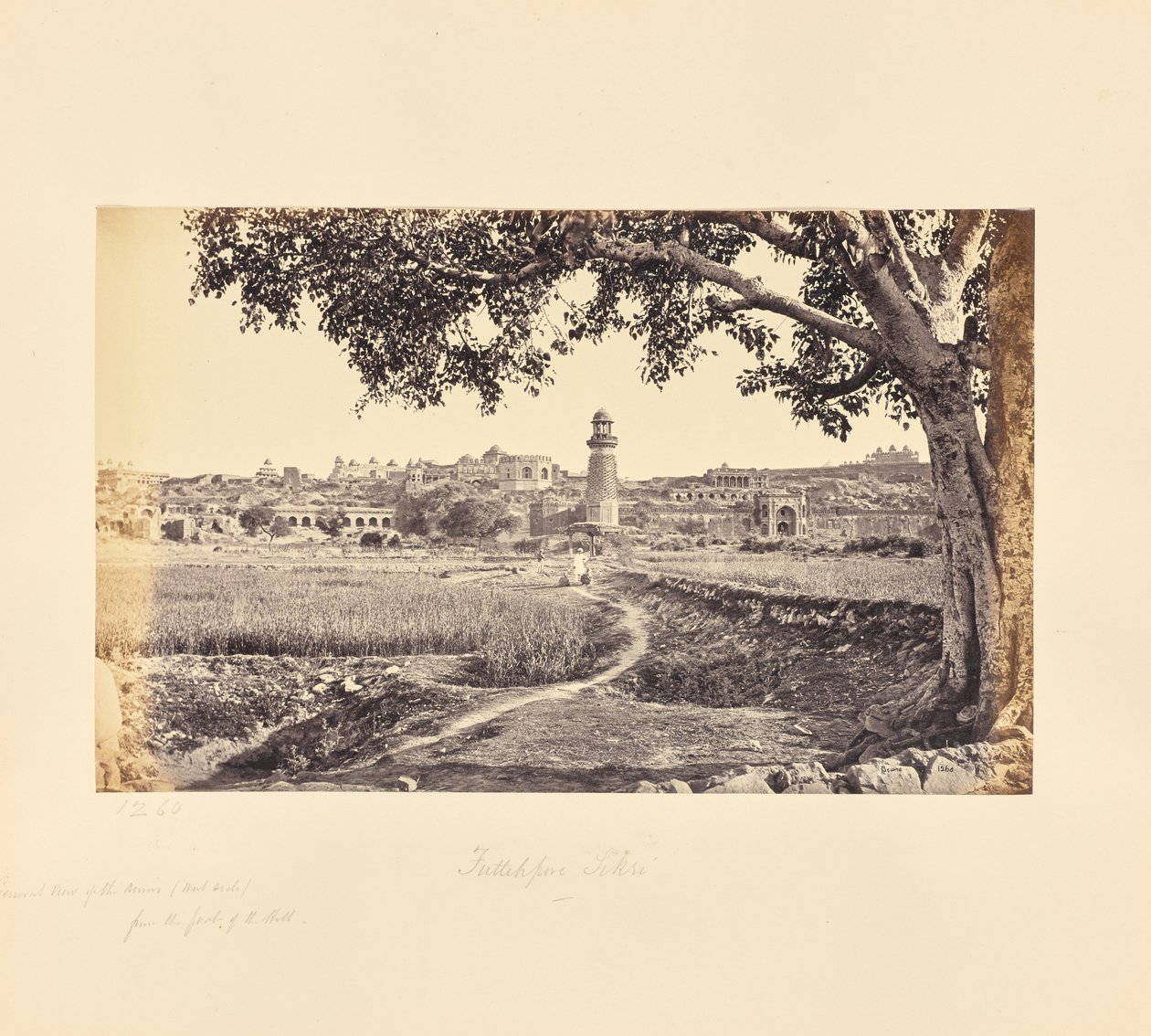 Fatehpur Sikri; oversigt over ruinerne (vestsiden), fra bakkens fod af Samuel Bourne