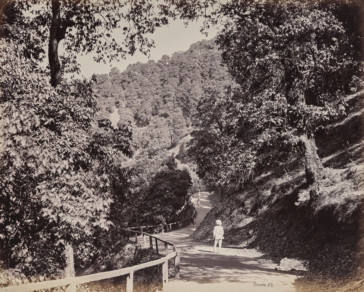 Shimla. The Mall nær Rabq Lodge af Samuel Bourne