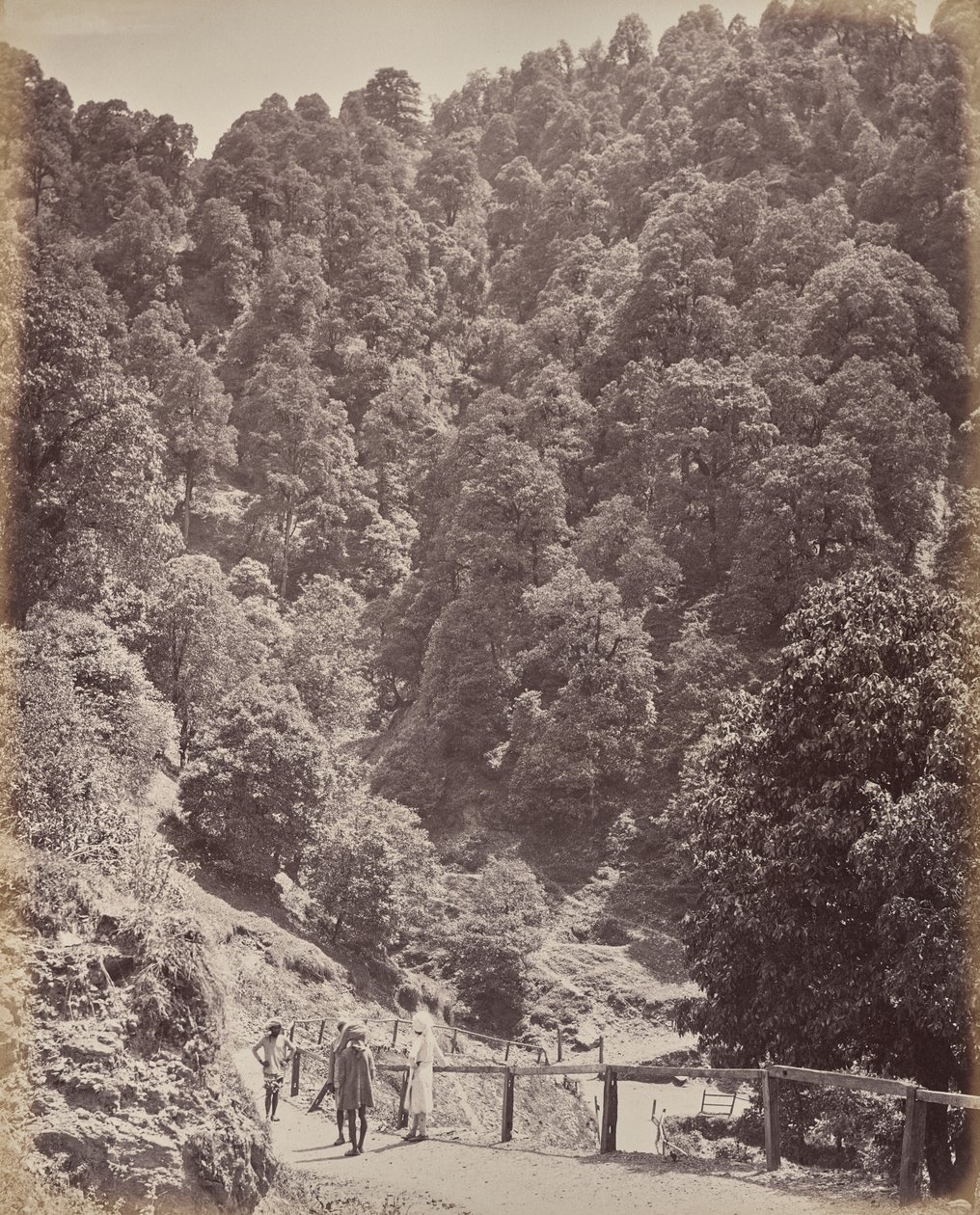 Shimla. Udsigt mod nord over Mount Jakko af Samuel Bourne