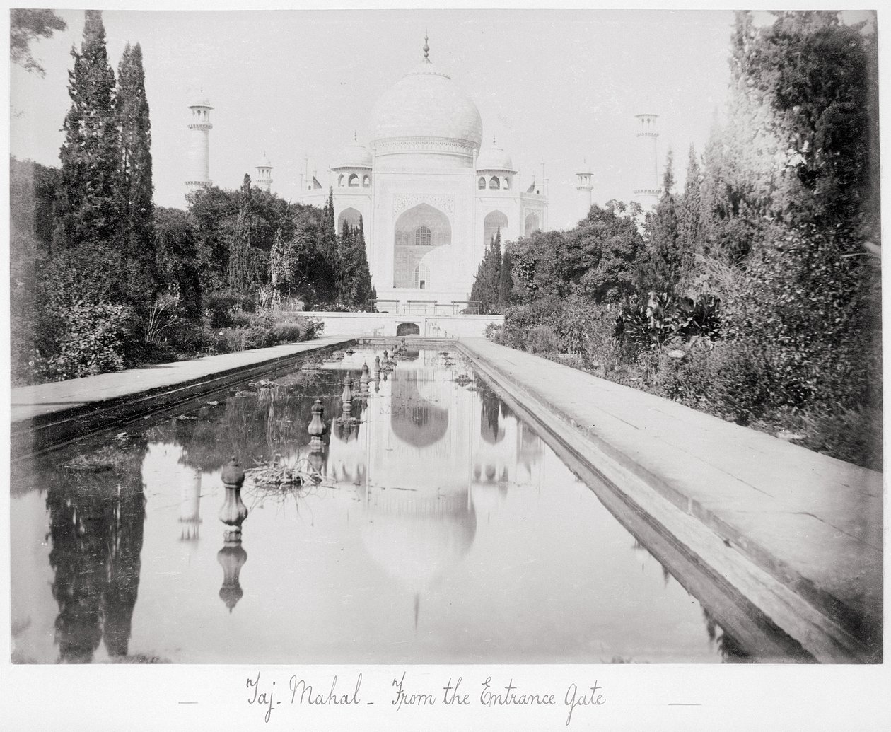 Taj Mahal, set fra indgangsporten af Samuel Bourne