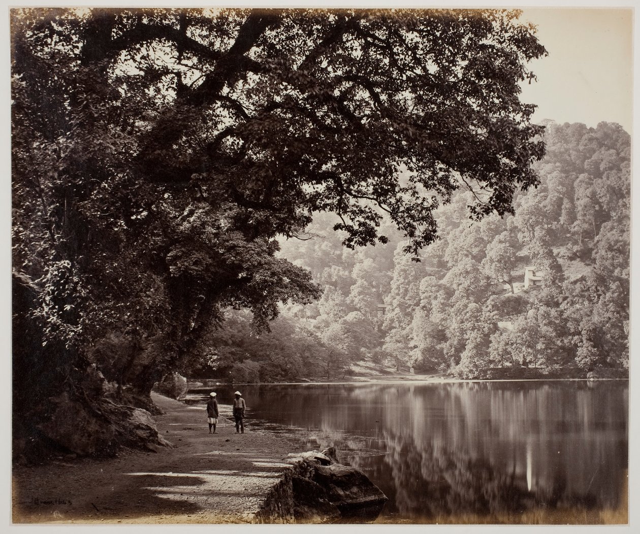 Uden titel [træer nær vand, Indien], 1870