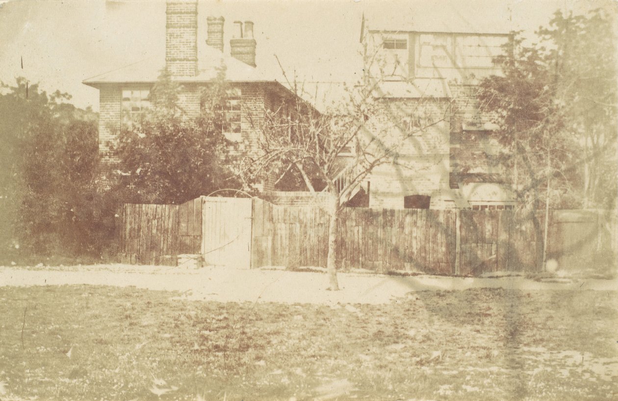 Træ i gården, 1850