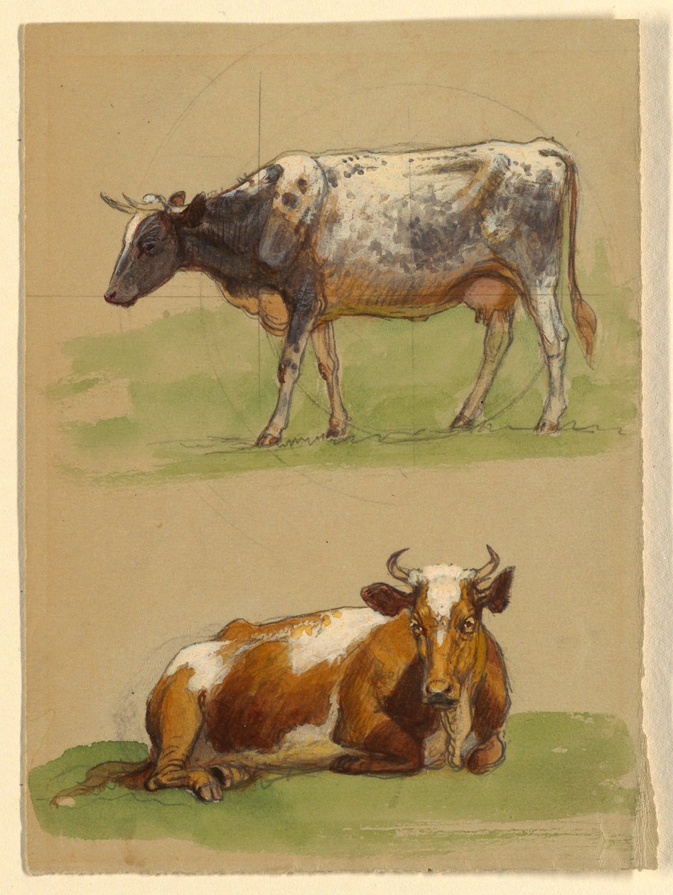 Tegning, Kvæg, en ko, der går, og en ko, der sidder på hug, 1875-80 af Samuel Colman