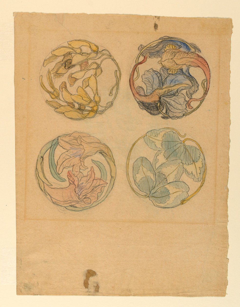 Tegning, Blomsterstudier (Fire designs til cirkulære ornamenter), 1880-90 af Samuel Colman