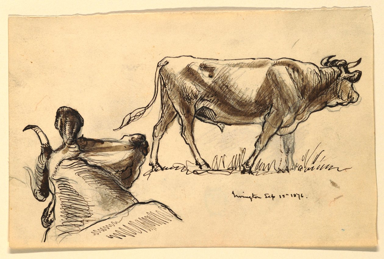 Tegning, skitser. Kvæg, Irvington, september 1876 af Samuel Colman
