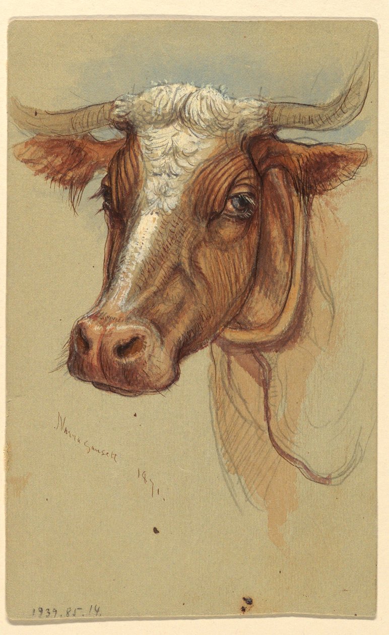 Tegning, Skitser fra Narragansett, Rhode Island, 1871 af Samuel Colman
