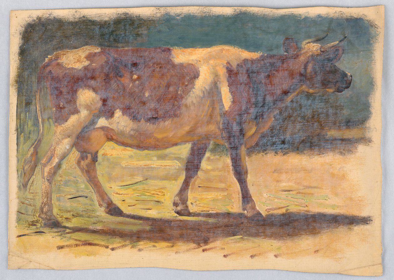 Tegning, studier. Køer, august 1876 af Samuel Colman