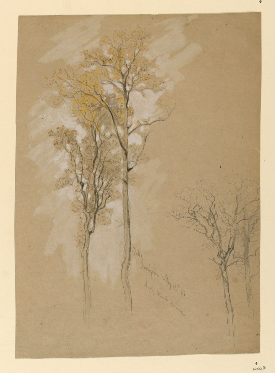 Oaks, Lady Wood Lane, Irvington af Samuel Colman