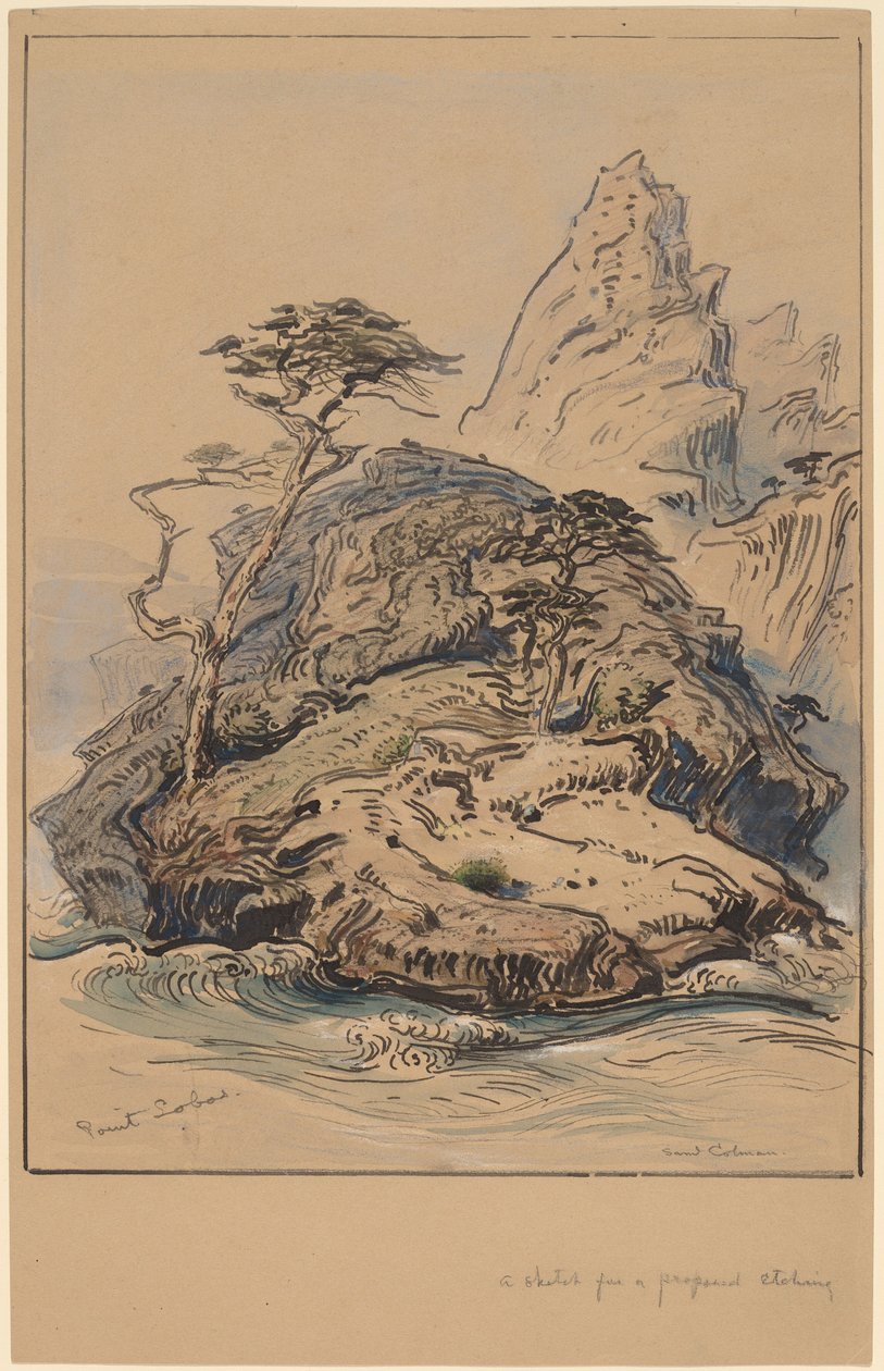 Point Lobos, Californien af Samuel Colman