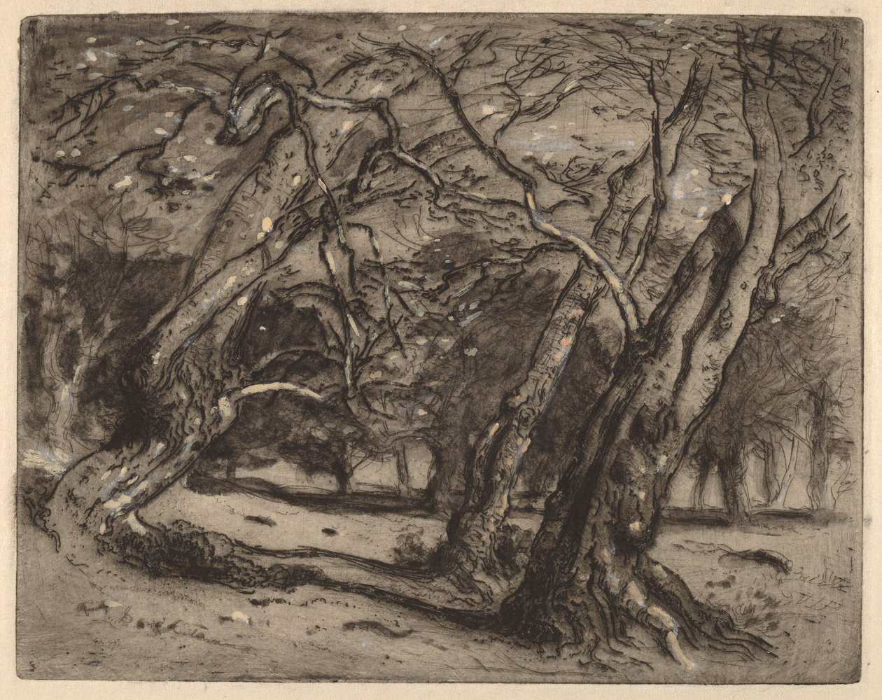 Uden titel (Skovlandskab) af Samuel Colman