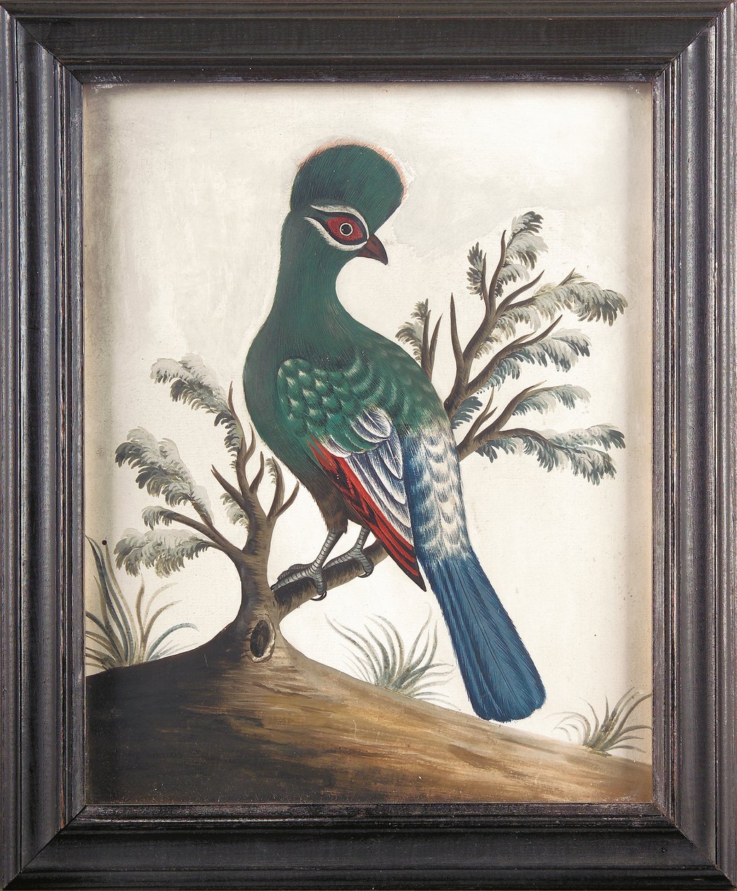 Touraco, ca. 1750 af Samuel Dixon