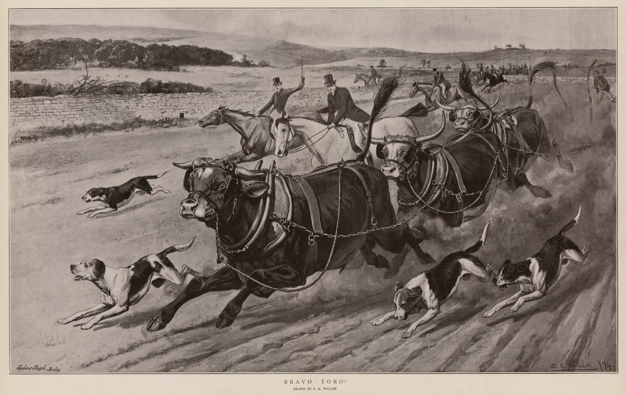 Bravo Toro! (litografi) af Samuel Edmund (after) Waller