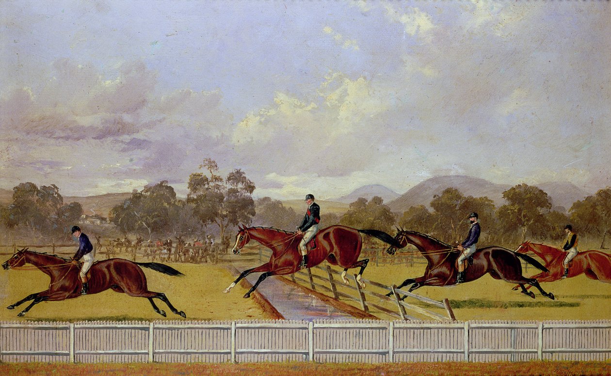 A Steeplechase Dani af Samuel Henry Alken