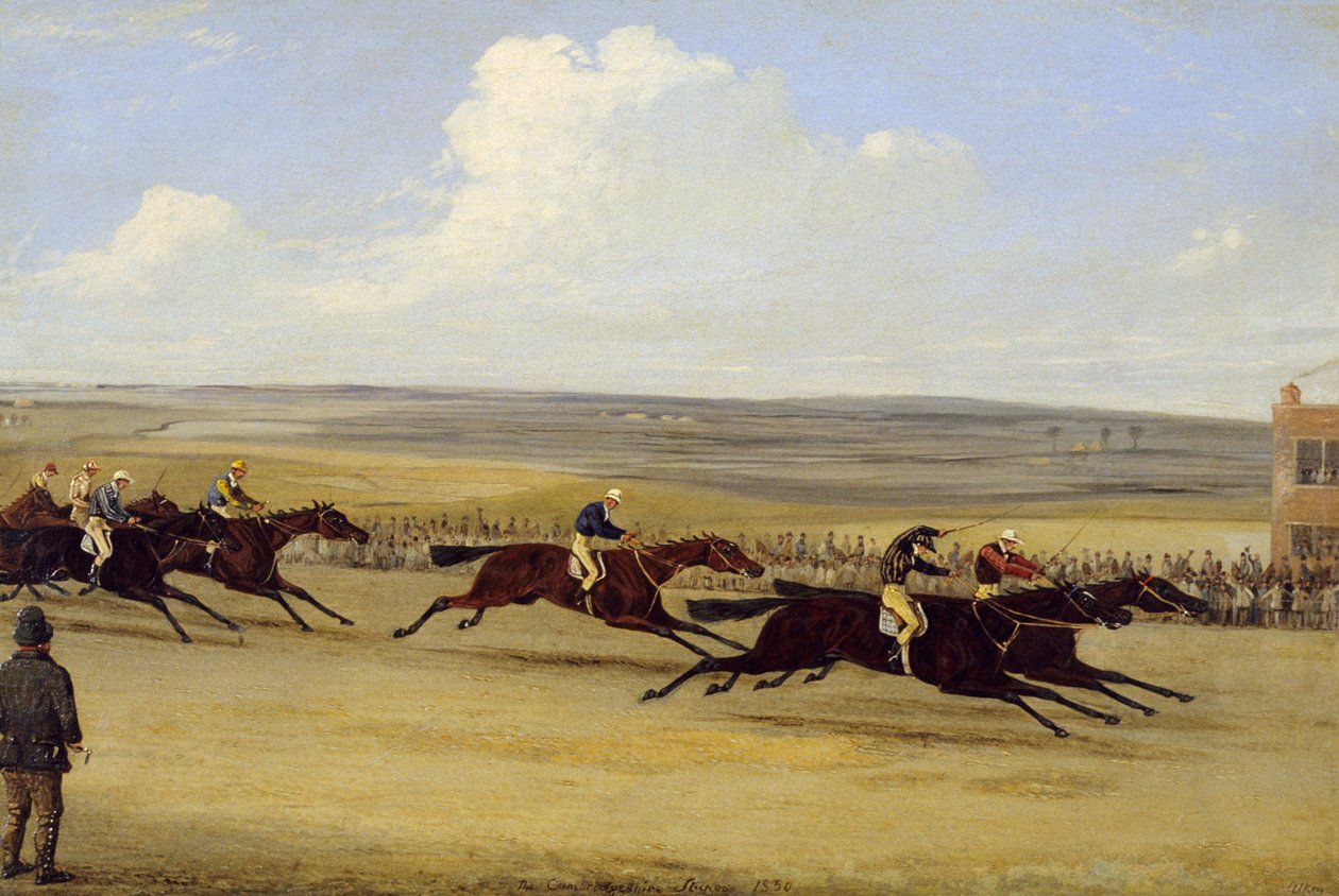 The 1850 Cambridgeshire Stakes: The Finish (olie på lærred) (se også 266406) af Samuel Henry Alken