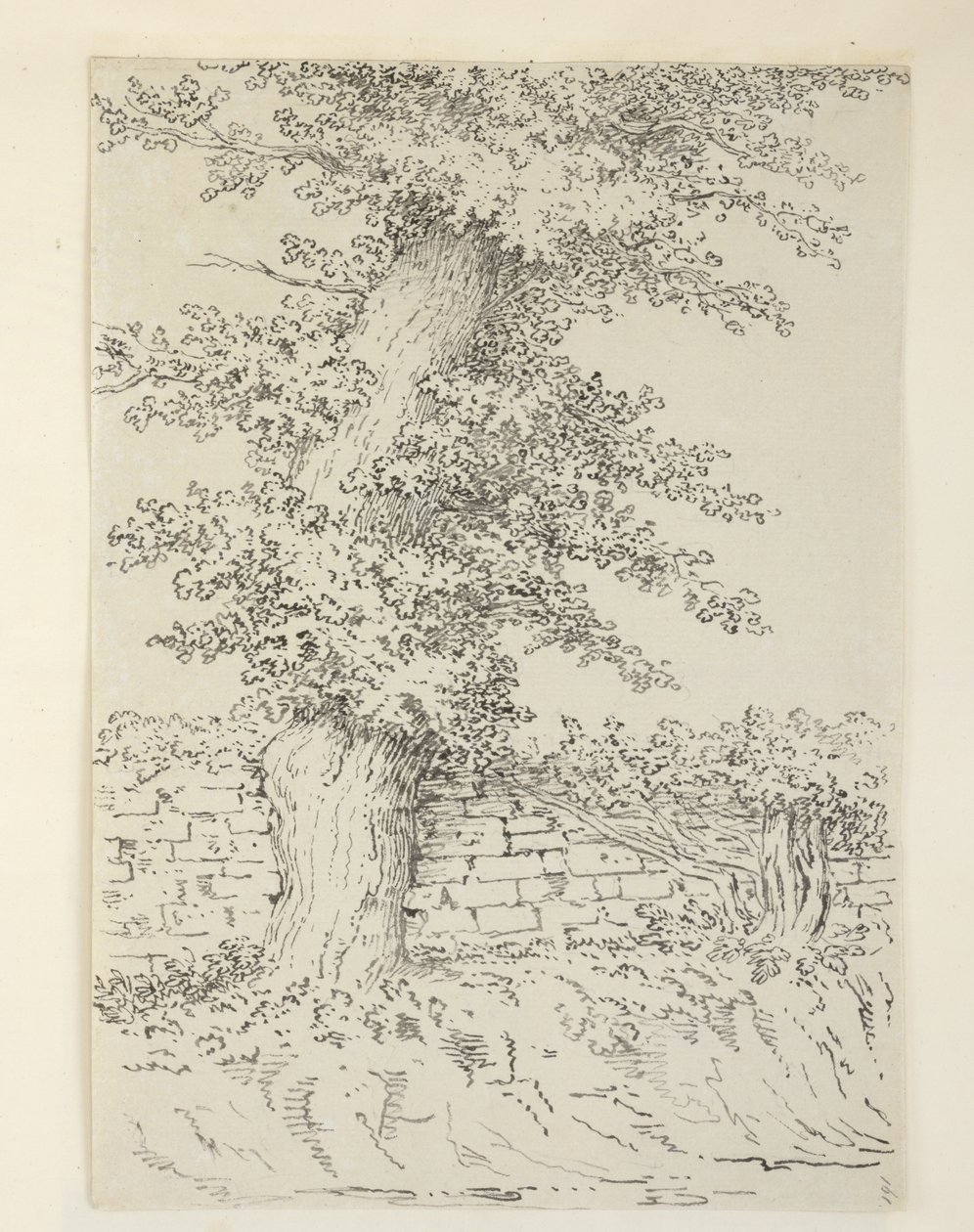 Tilføje. MS 15546 Am Elm Tree ved Bedminster af Samuel Hieronymous Grimm