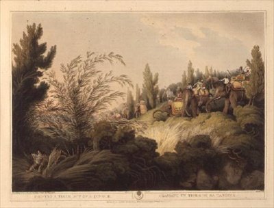 Driving A Tiger Out Of A Jungle, fra "Oriental Field Sports", pub. af Edward Orme af Samuel Howett