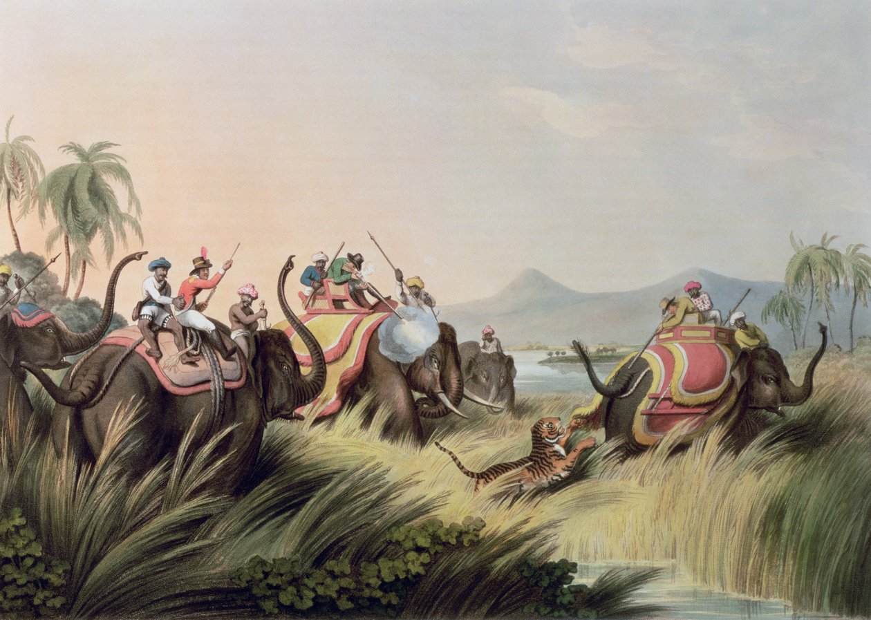 The Tiger At Bay, fra Oriental Field Sports, pub. af Edward Orme, 1807 (tryk) af Samuel Howett