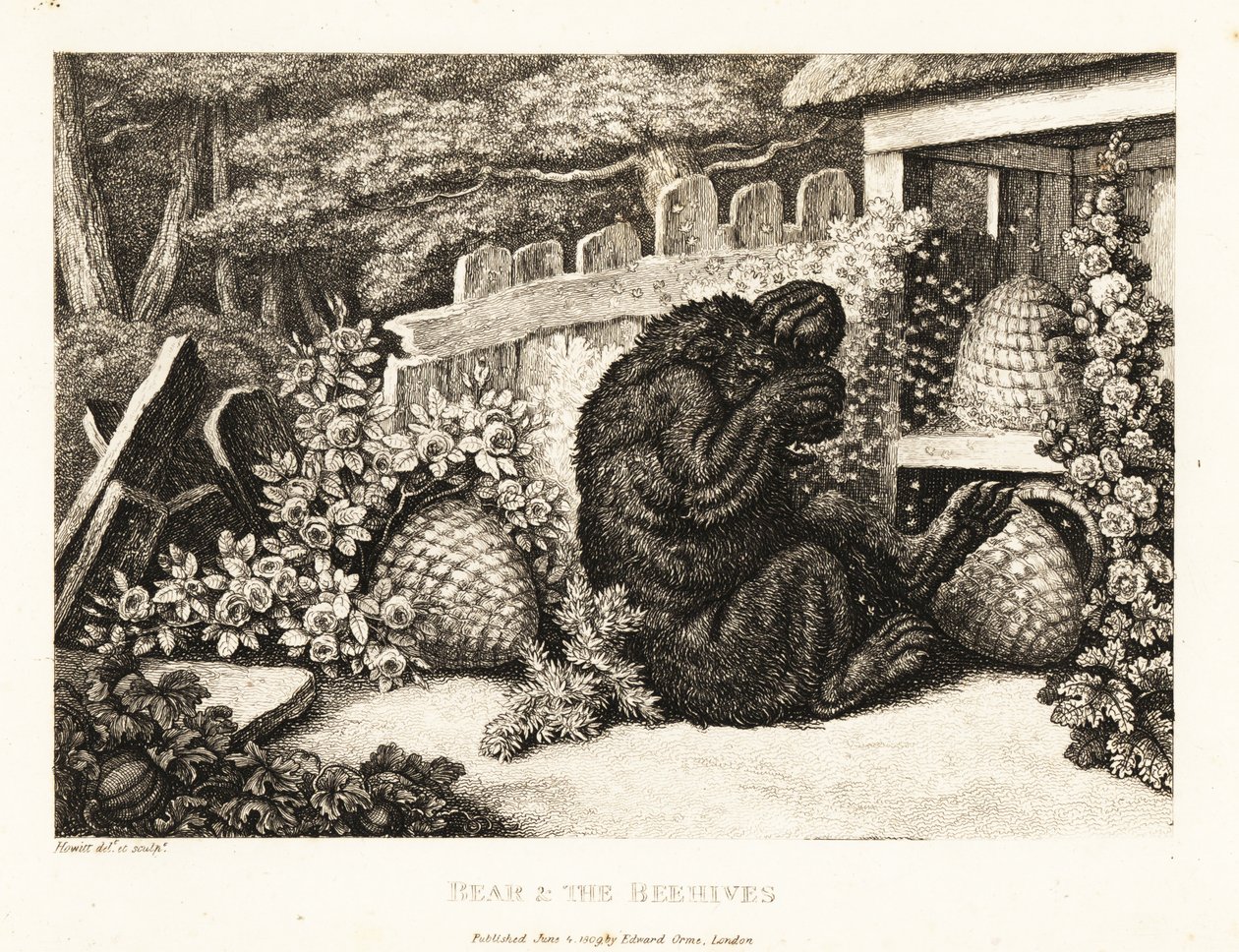 En brun bjørn angrebet af en hær af bier. 1811 (ætsning) af Samuel Howitt