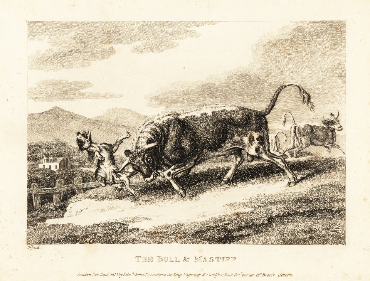 En tyr slår en hund ihjel på en mark. 1811 (ætsning) af Samuel Howitt