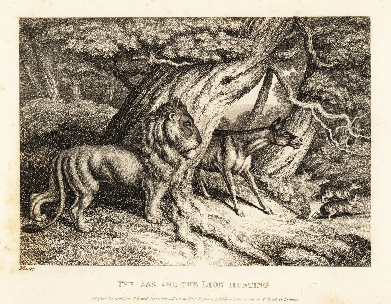 Et æsel braser højlydt mod bytte, mens det er på jagt med en løve. 1811 (ætsning) af Samuel Howitt