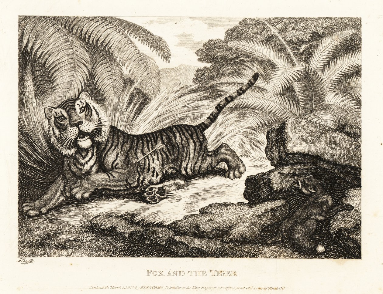En ræv ser på en såret tiger. 1811 (ætsning) af Samuel Howitt