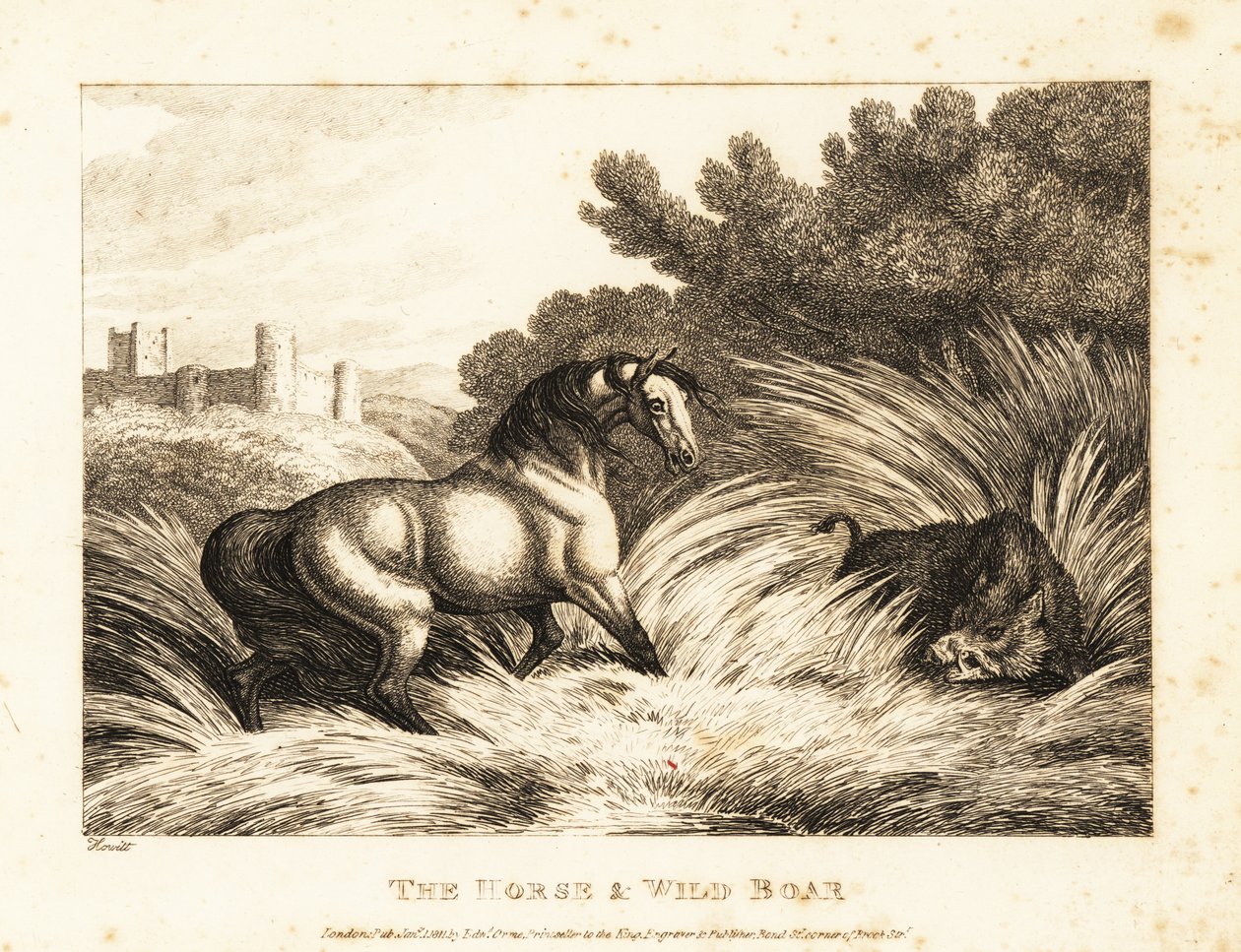 En hest og vildsvin vender ud mod en græsgang. 1811 (ætsning) af Samuel Howitt