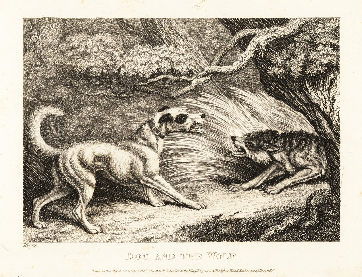 En hushund i halsbånd tilbyder mad til en udsultet ulv. 1811 (ætsning) af Samuel Howitt