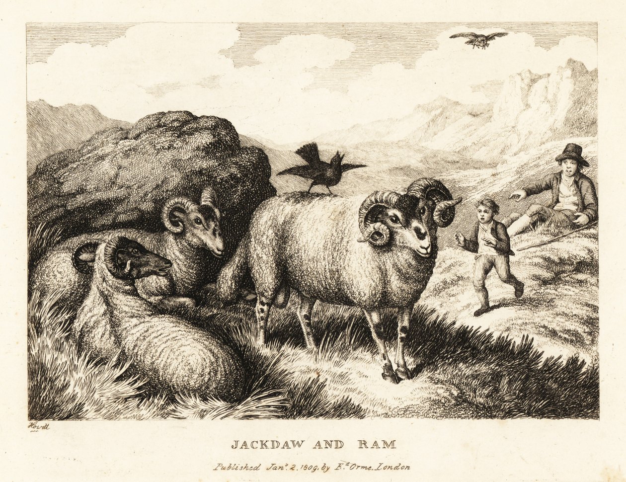 En jackdaw synger på ryggen af en vædder. 1811 (ætsning) af Samuel Howitt