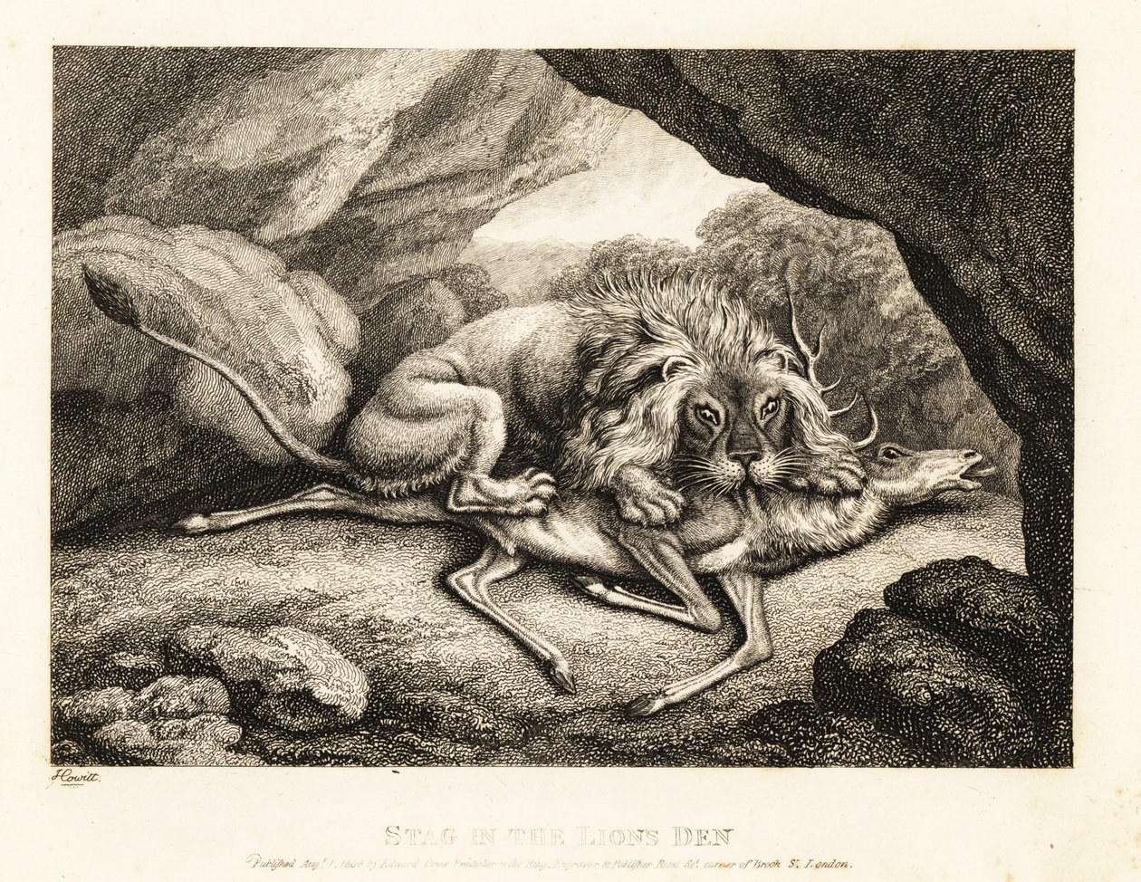 En løve spiser kadaveret af en kronhjort i en hule. 1811 (ætsning) af Samuel Howitt