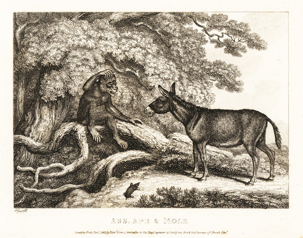 En abe og et æsel stønner, indtil en muldvarp gør dem tavse. 1811 (ætsning) af Samuel Howitt