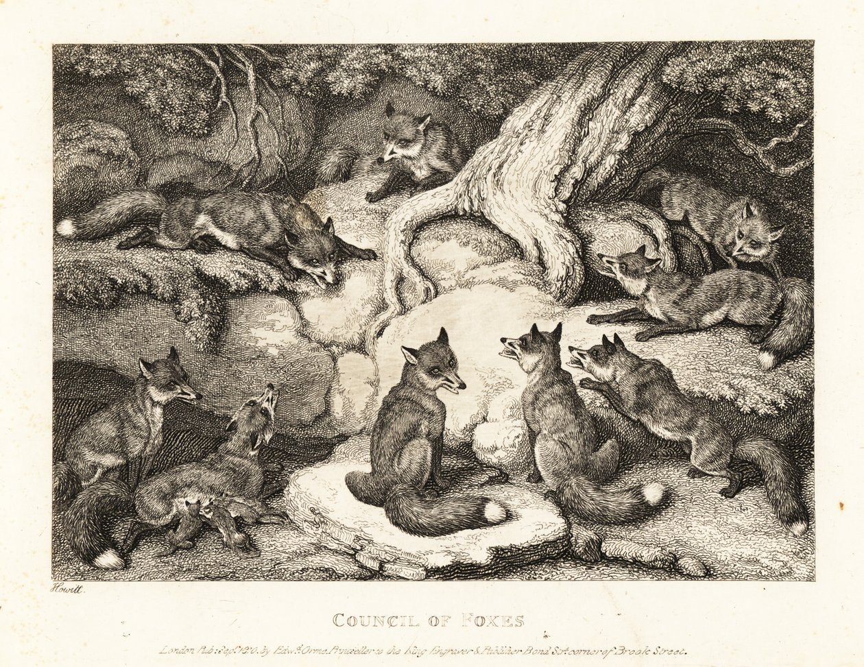En flok ræve mødes i en skov. 1811 (ætsning) af Samuel Howitt