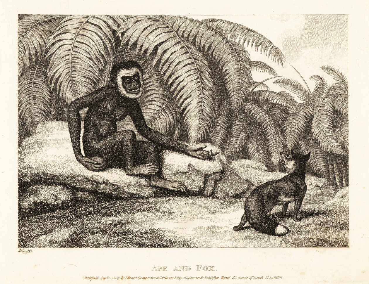 En haleløs abe beder en ræv om noget af hans hale. Abe og ræv. 1811 (ætsning) af Samuel Howitt