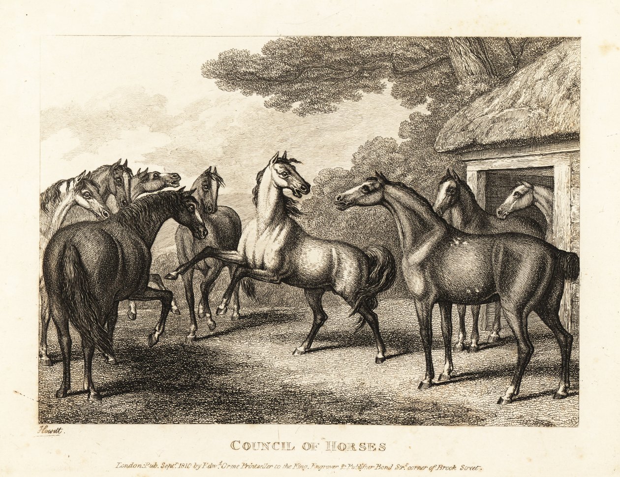Et ungt hingsteføl forsøger at opildne et mytteri i staldene. 1811 (ætsning) af Samuel Howitt