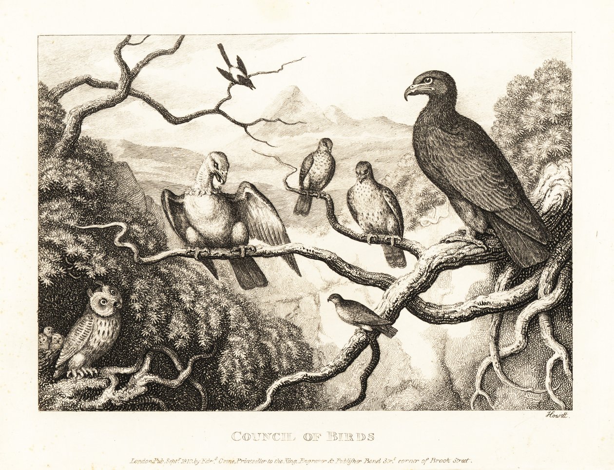 En ørn præsiderer over en gård af fugle i et træ. 1811 (ætsning) af Samuel Howitt