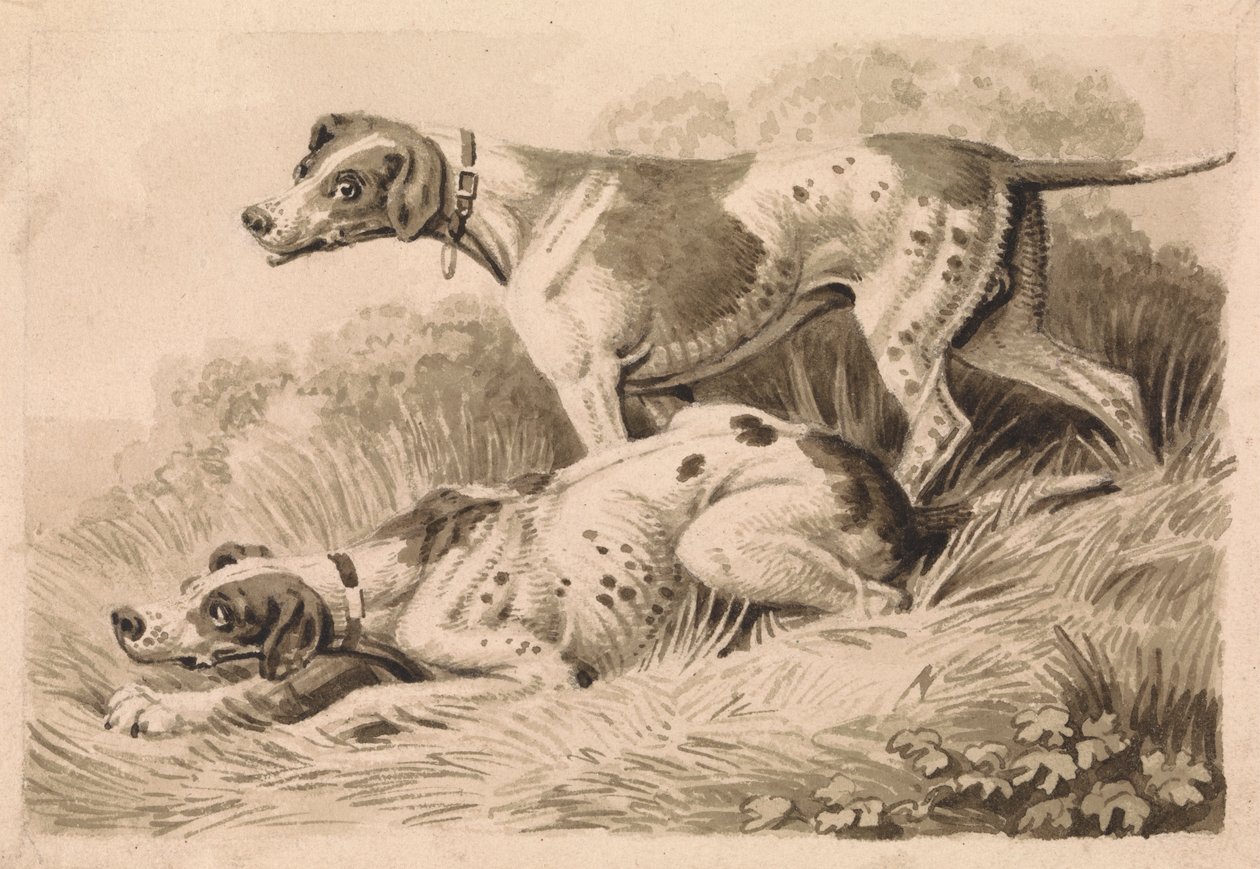 Gun Dogs af Samuel Howitt