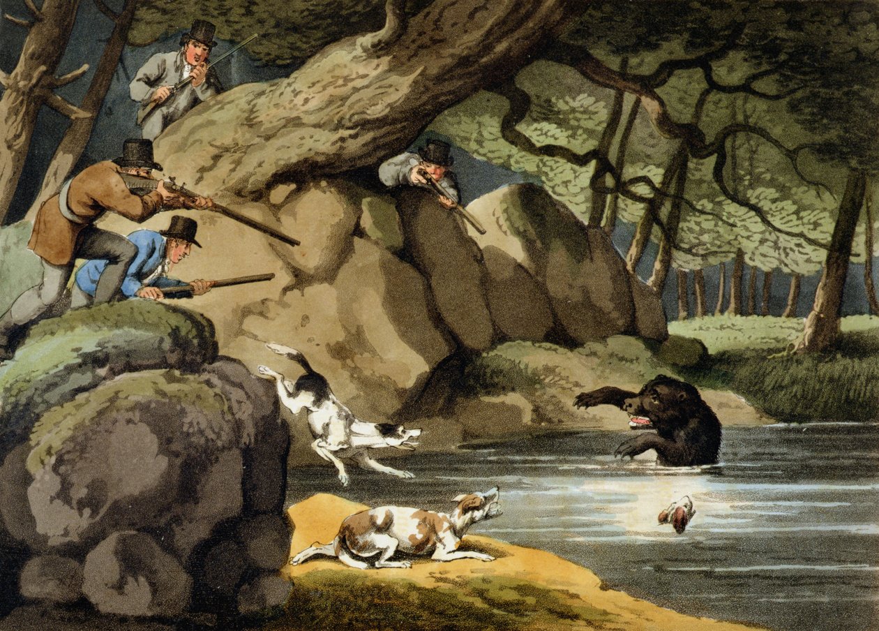 North America Bear Hunt, indgraveret af Matthew Dubourg, udgivet af Edward Orme, 1813 af Samuel Howitt
