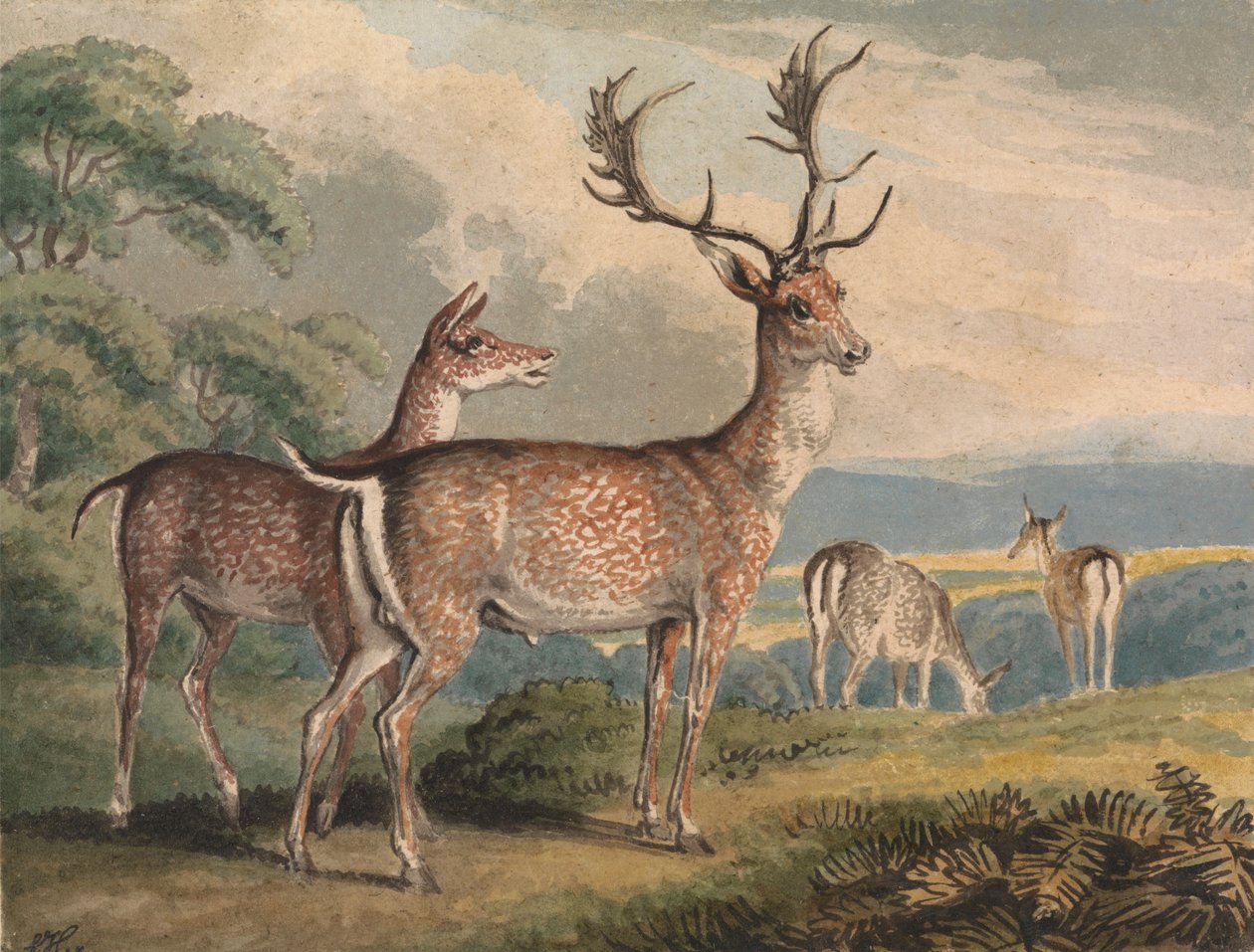 Stag, Doe og Fawns af Samuel Howitt