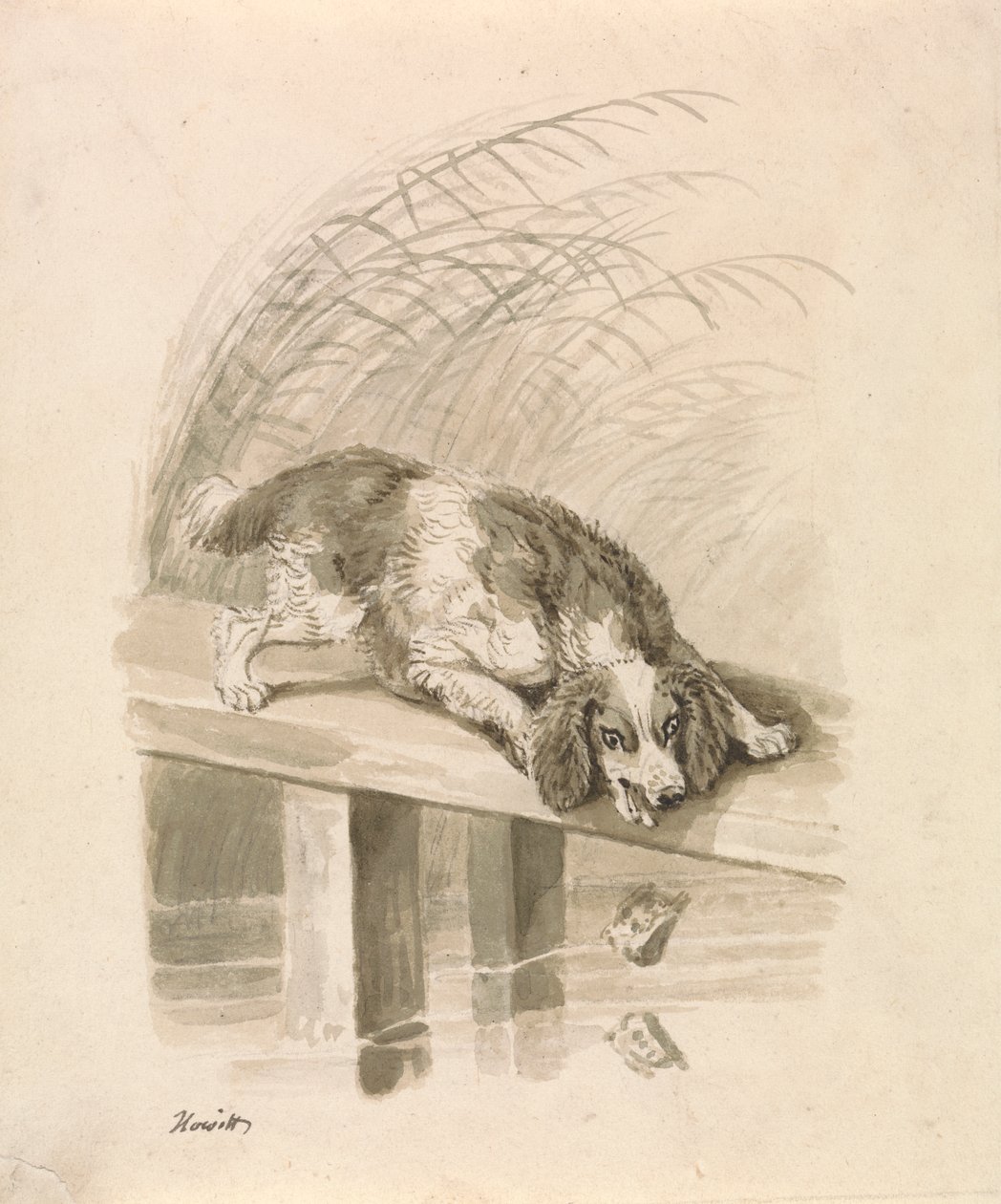 Hunden og Skyggen af Samuel Howitt
