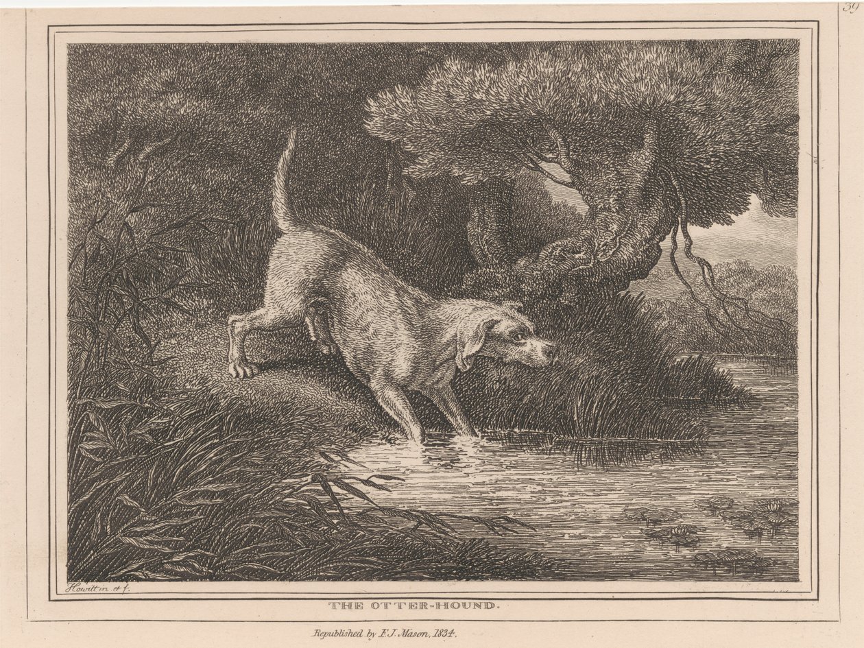 Odderhunden af Samuel Howitt