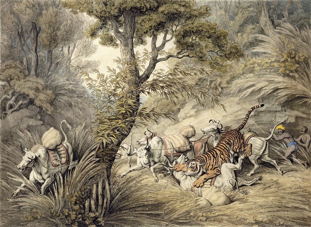 Tiger angriber et kvægtog, af Samuel Howitt