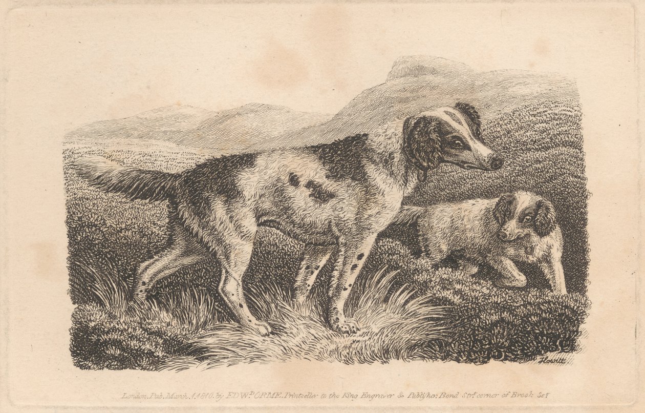 To Hunde af Samuel Howitt
