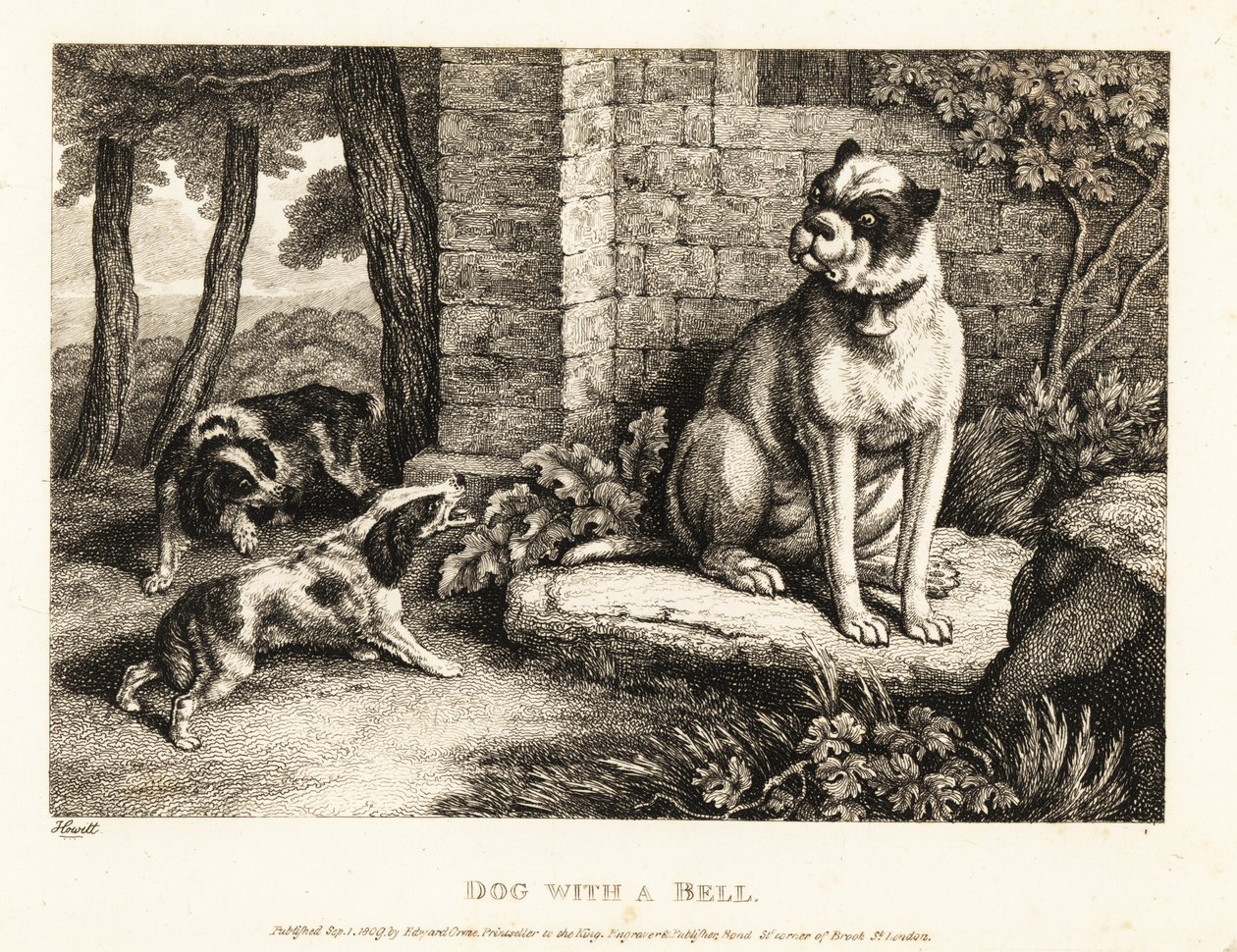 To spaniels gøer ad en bulldog med en klokke på halsbåndet. 1811 (ætsning) af Samuel Howitt